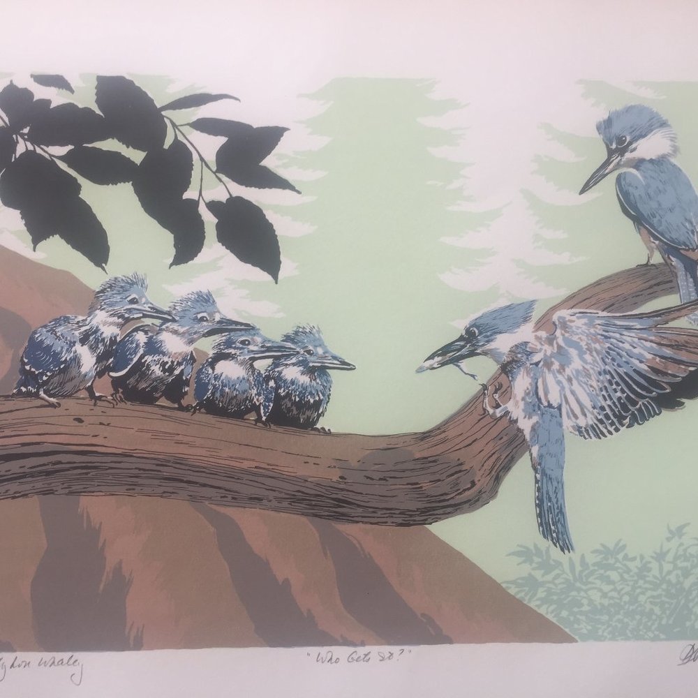 A serigraph/silk-screen of 4 Baby Kingfishers